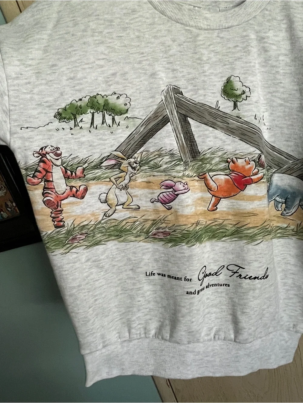 Disney Winnie the Pooh 100 Acre Wood Gang Sweatshirt Sz Small Friends - Picture 3 of 11